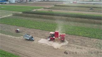 From "Agricultural Machinery Xiaobai" to "Agricultural Machinery Expert", I took a fancy to Master Cai Lius first year with Zhonglian Harvest.(图5) 640_看图王11111.jpg