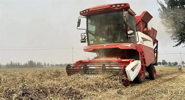 Woye Nuggets: Nanyang Old Agricultural Mechanic Master Wu and Zhonglian Harvests Two-way Going.(图3) 640 (1)_看图王4.jpg